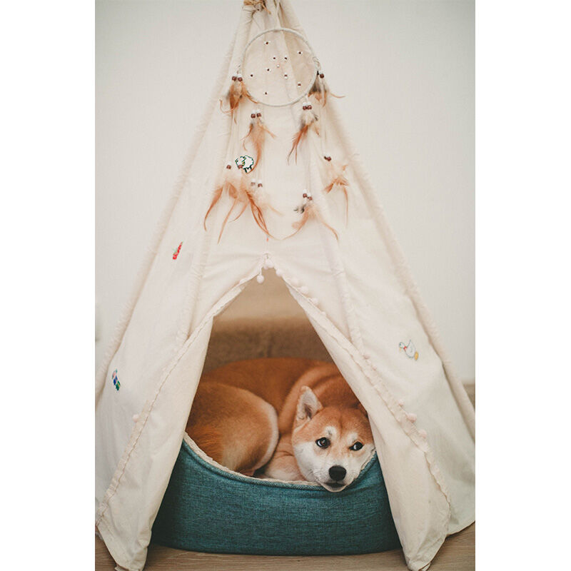 Image without a name 