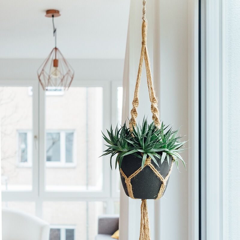 Image without a name 