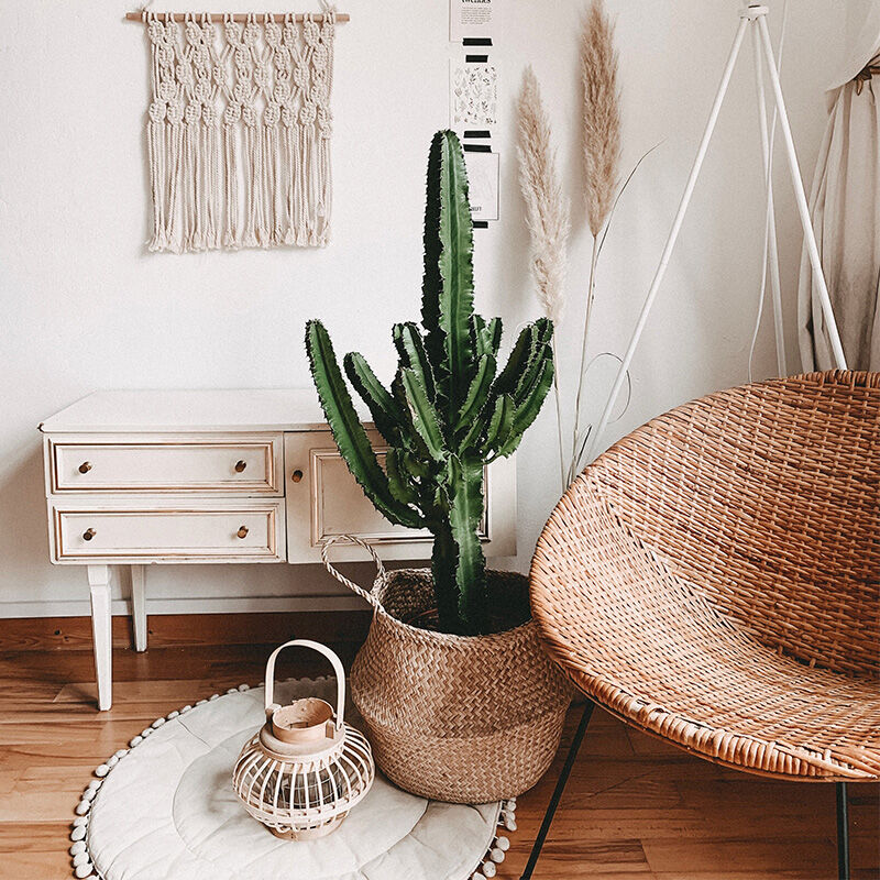 Image without a name 