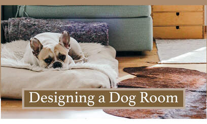 How to Design an Indoor Space for Your Dog