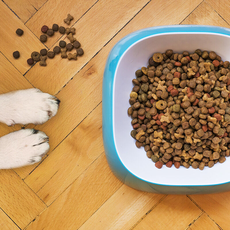 Image without a name 