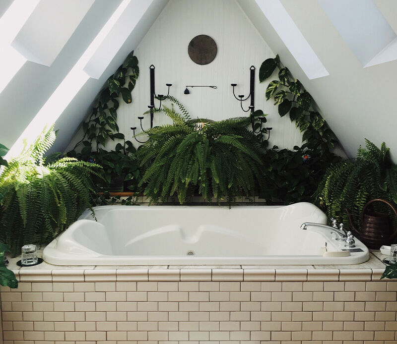 Image without a name 