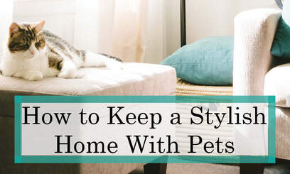 How to Keep Your Home Stylish with Pets