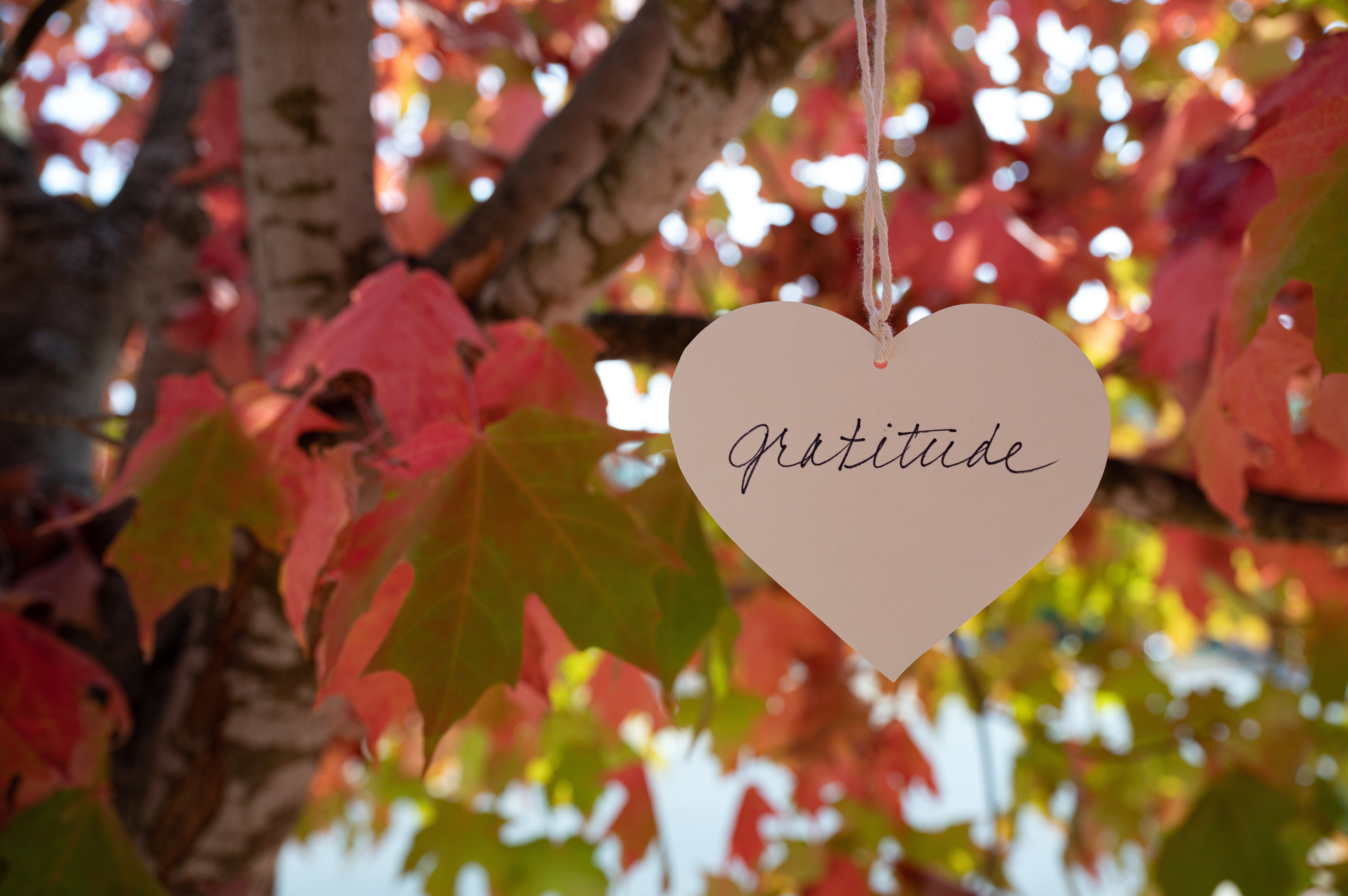Transform This Season of Gratitude Into a Year-Long Ritual In Your Home