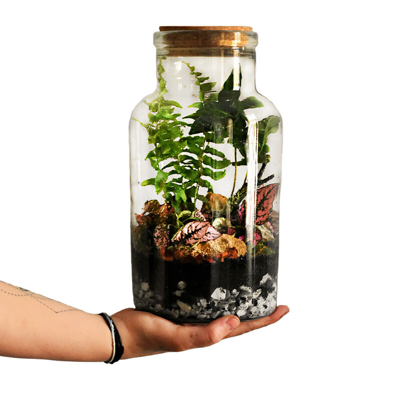 Image without a name 