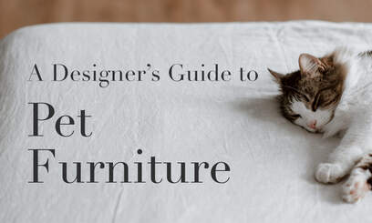 A Designer’s Guide to Pet Furniture