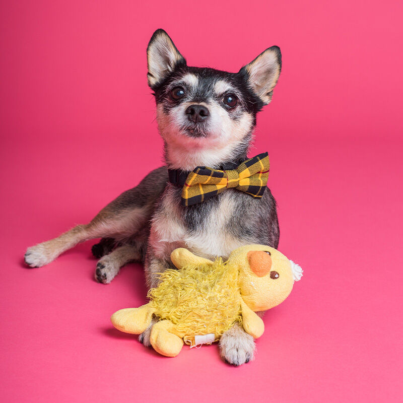 Image without a name 