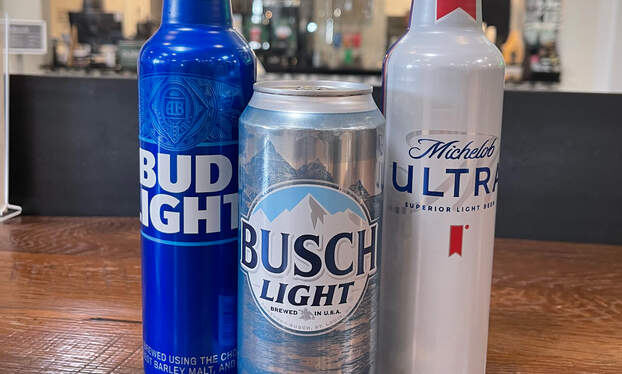 beer, budlight, and busch