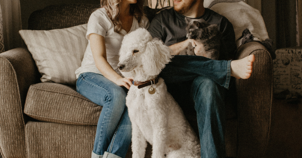 Pet Friendly Fabrics for Your Living Room