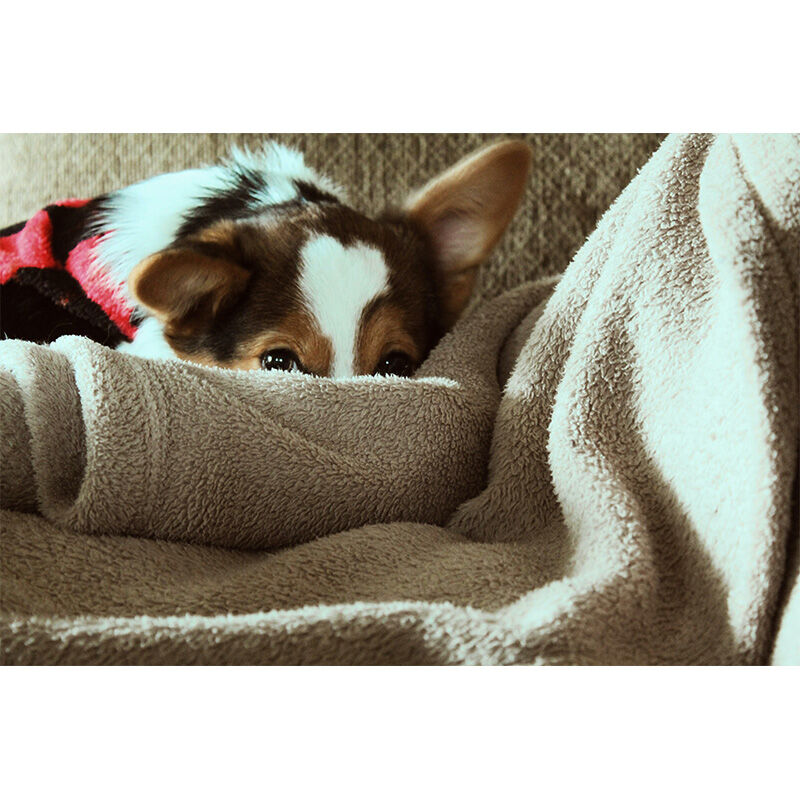 Image without a name 