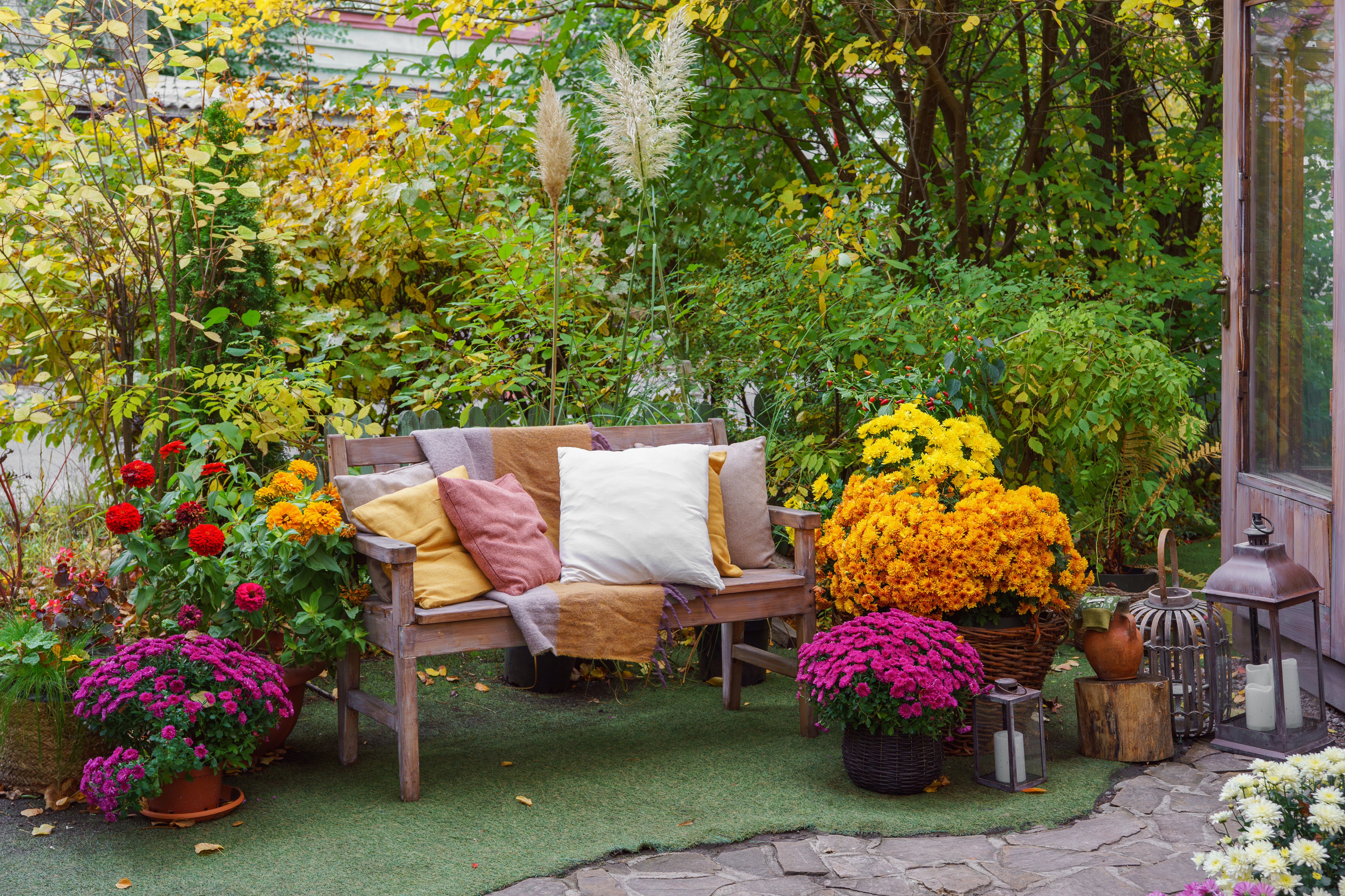 beautiful collections of colorful mums in planters surrounding patio bench