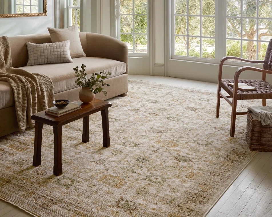 traditional x boho rug styled in a living room space