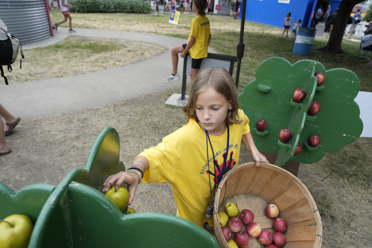 Little Hands on the Farm