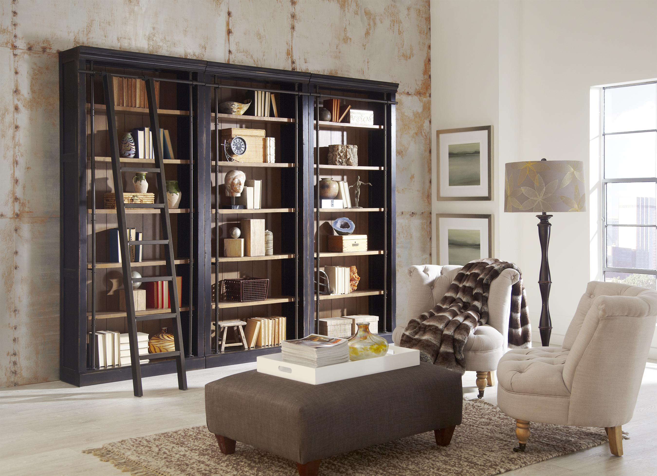 Bookshelves with library ladder