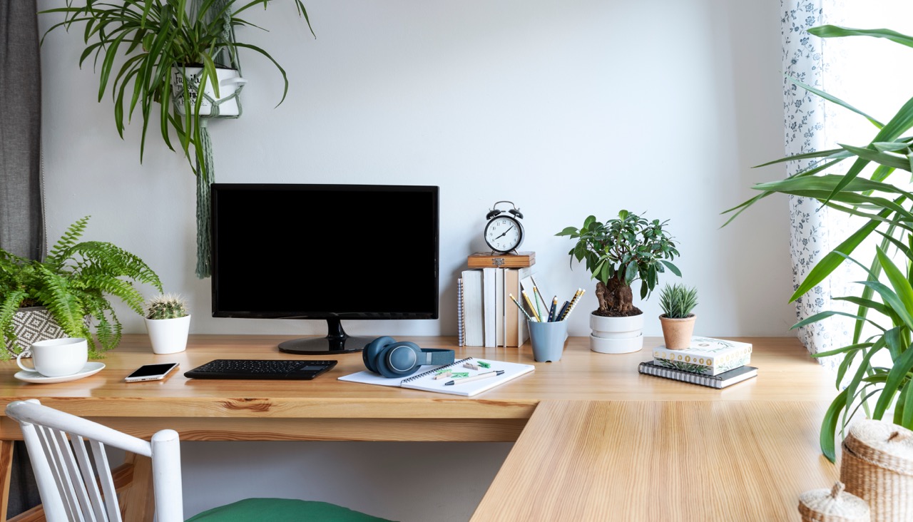 green plants used as decor on a desk