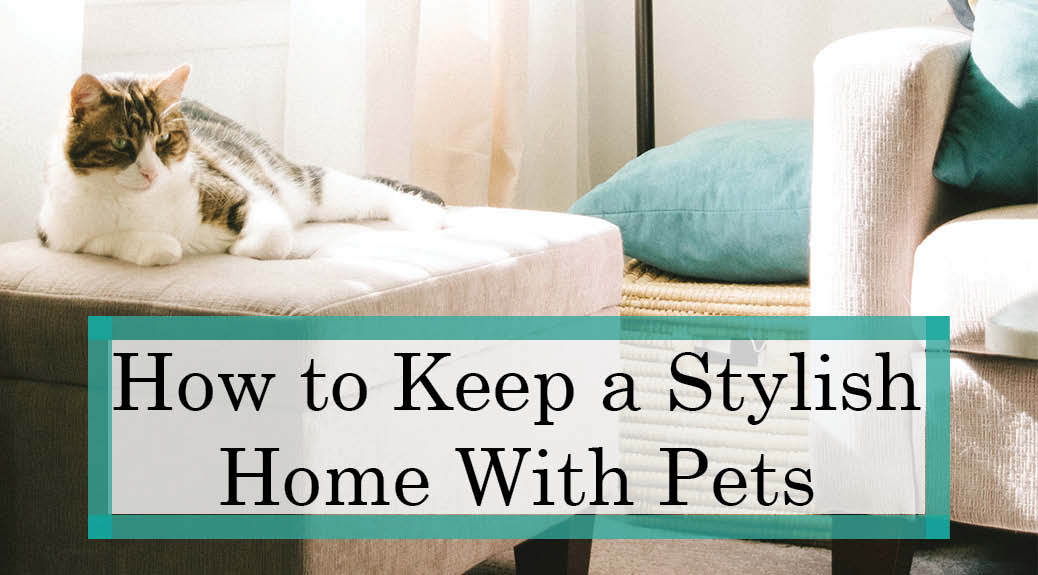 5 Tips to Create a Stylish Home with Pets