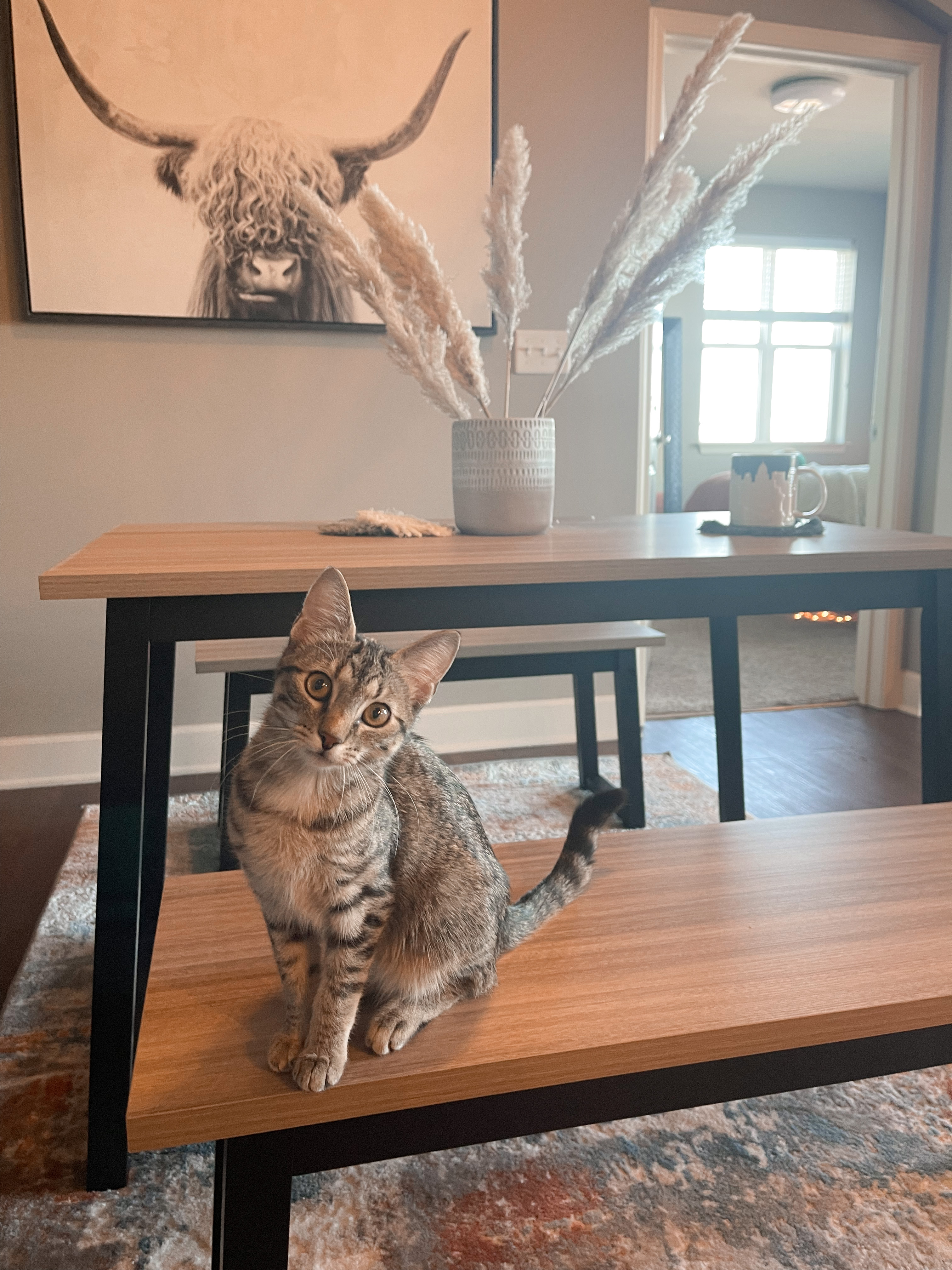 Cat Sitting on 3-Piece Waylowe Dining Set