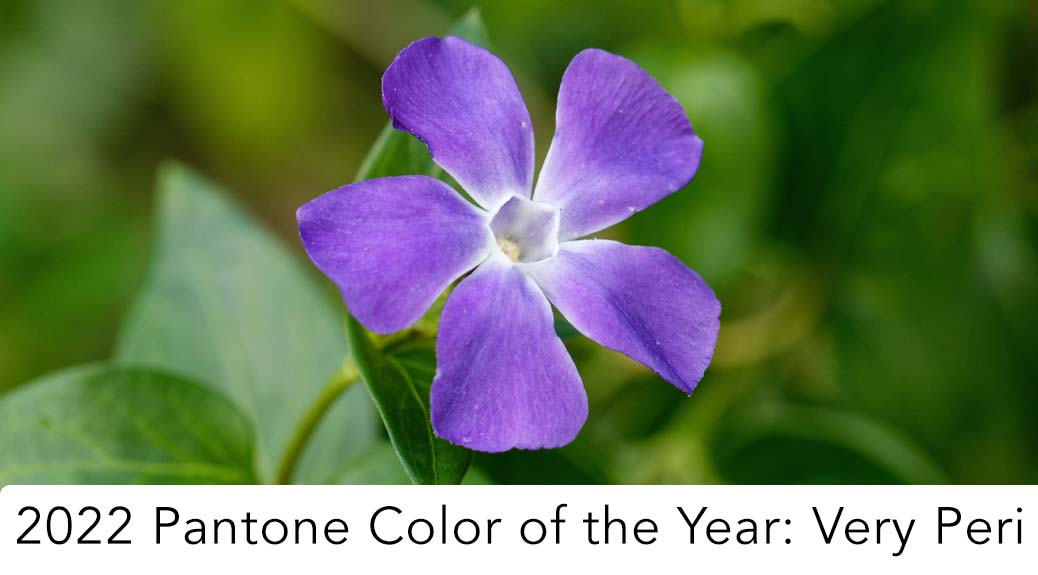 Incorporating the 2022 Pantone Color of the Year in Your Home HEADER