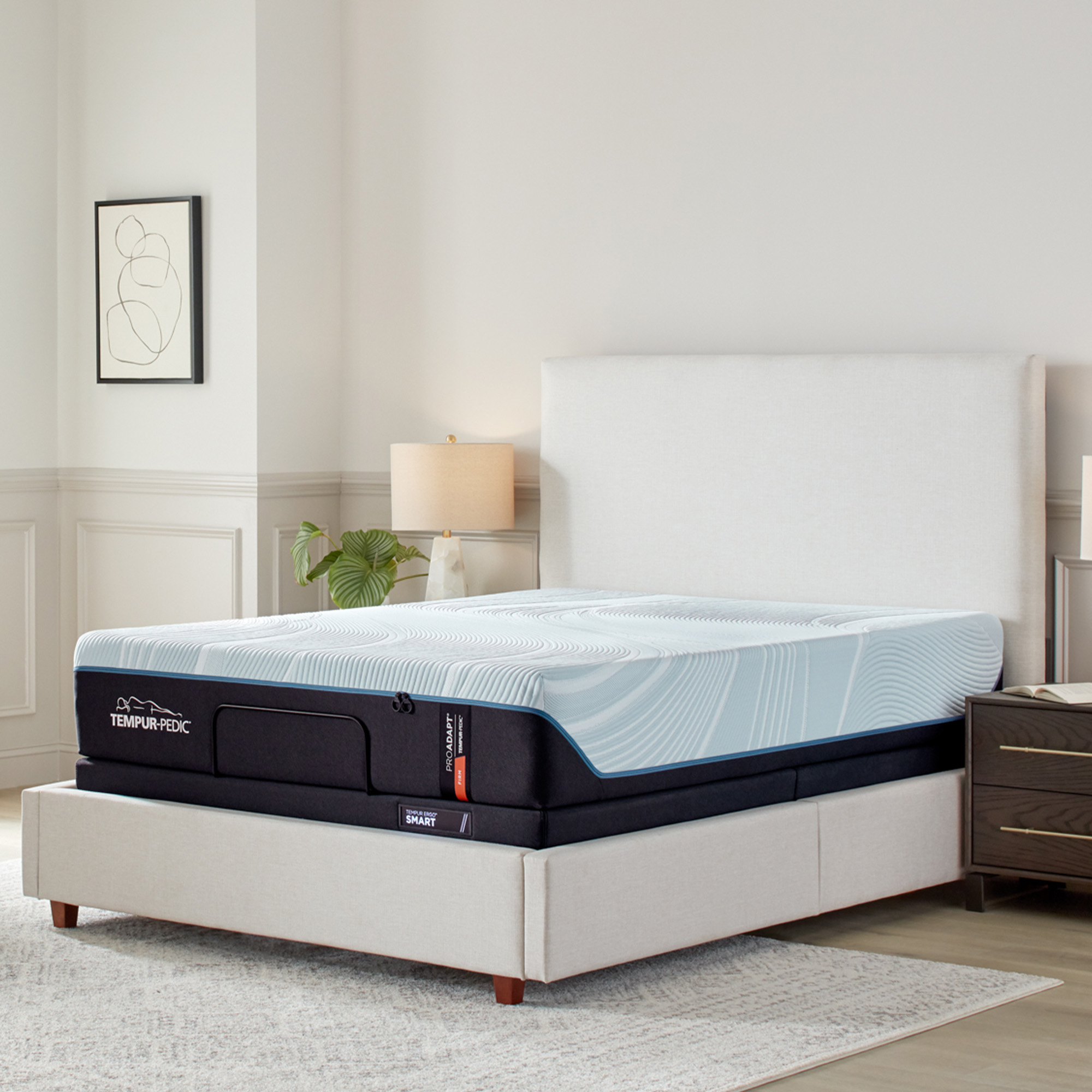 Tempur-Pedic mattress on a bed frame