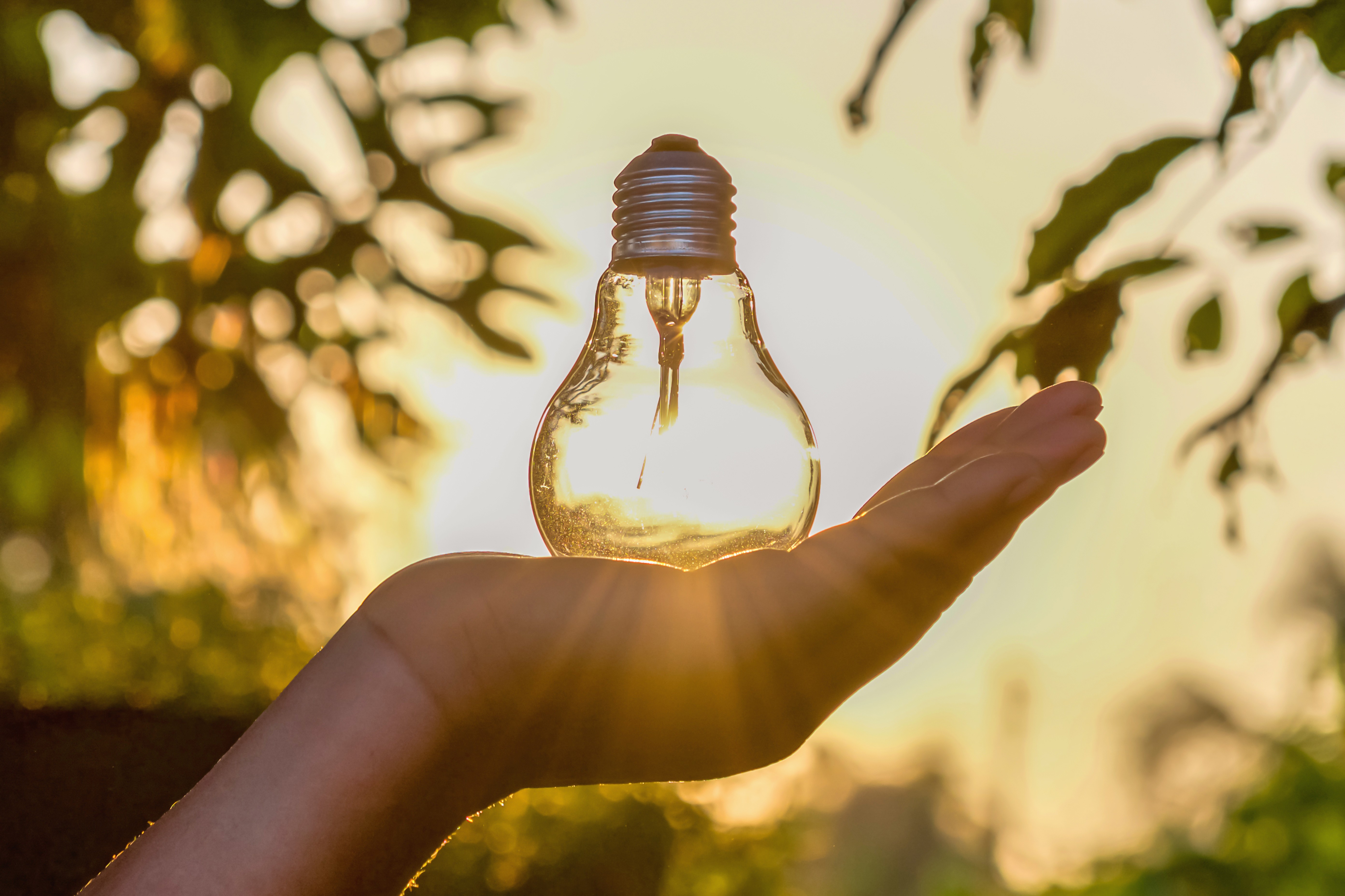 Clear lightbulb in a hand with outdoor environment