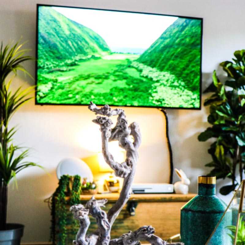 Creative Ways to Hide Cords on a Wall Mounted TV