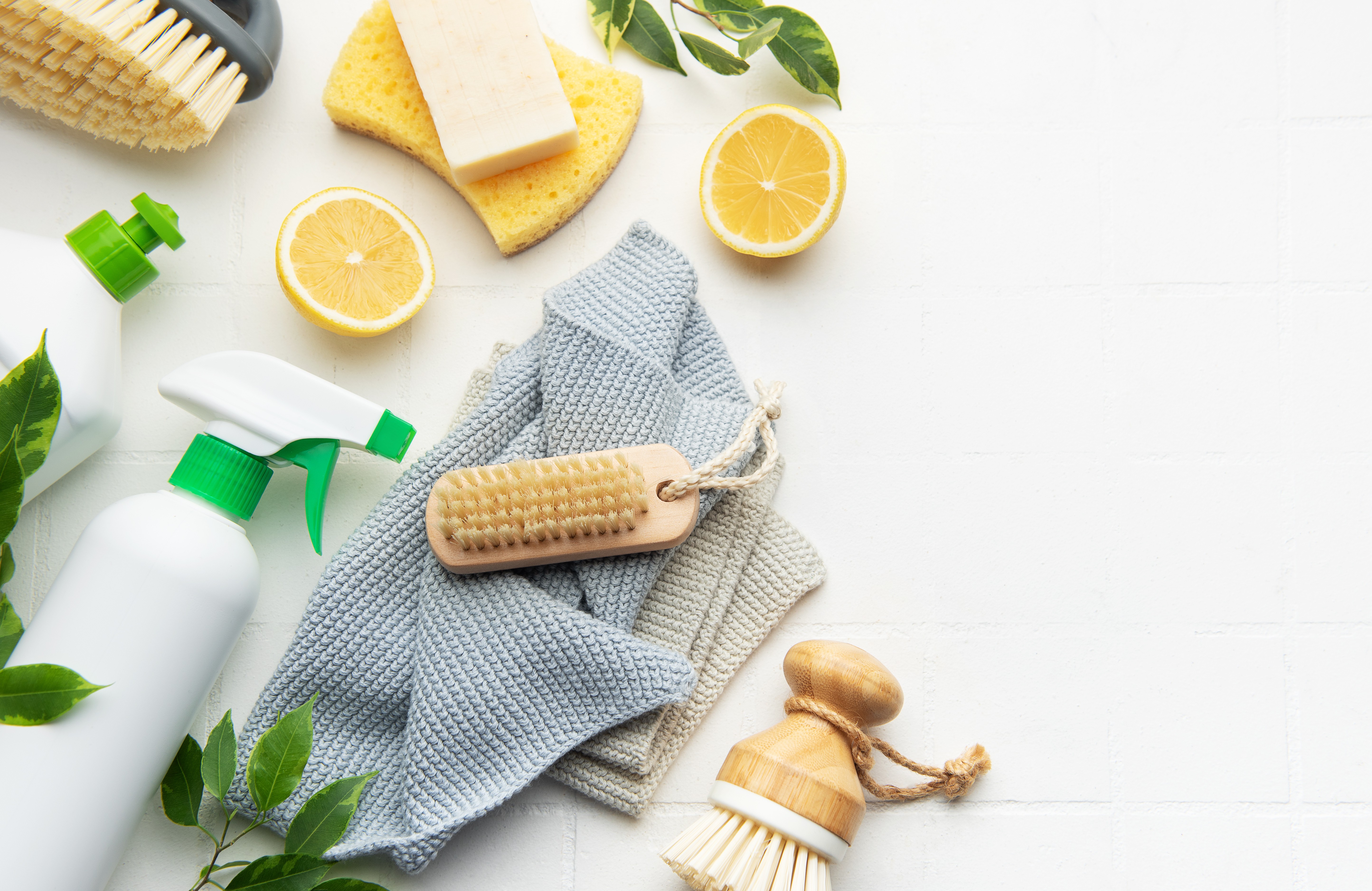 Lemon with cleaning tools, brush, rag